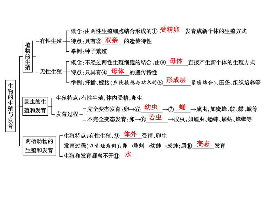 中考生物学专题知识整合·专题六生物的生殖与发育.ppt_第2页