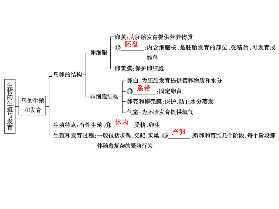 中考生物学专题知识整合·专题六生物的生殖与发育.ppt_第3页