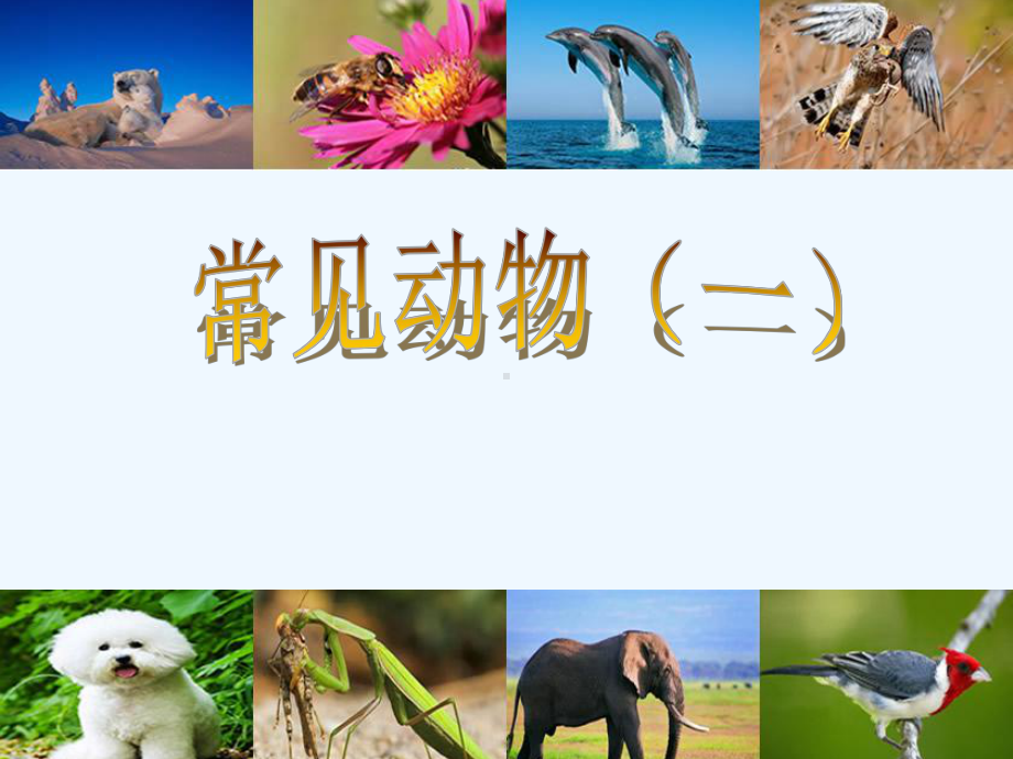 七年级科学上册 常见的动物（一） 课件 浙教版.ppt_第1页