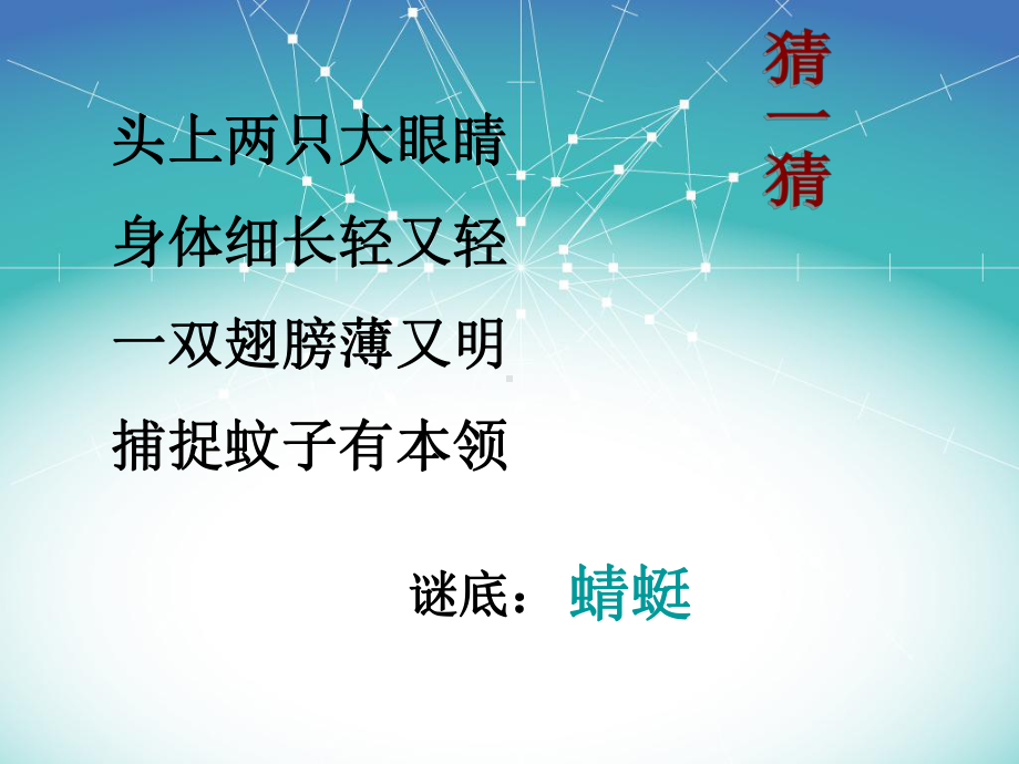 《红蜻蜓爱花竹帽》课件.ppt_第2页