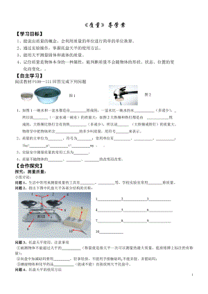 《质量》导学案参考模板范本.doc