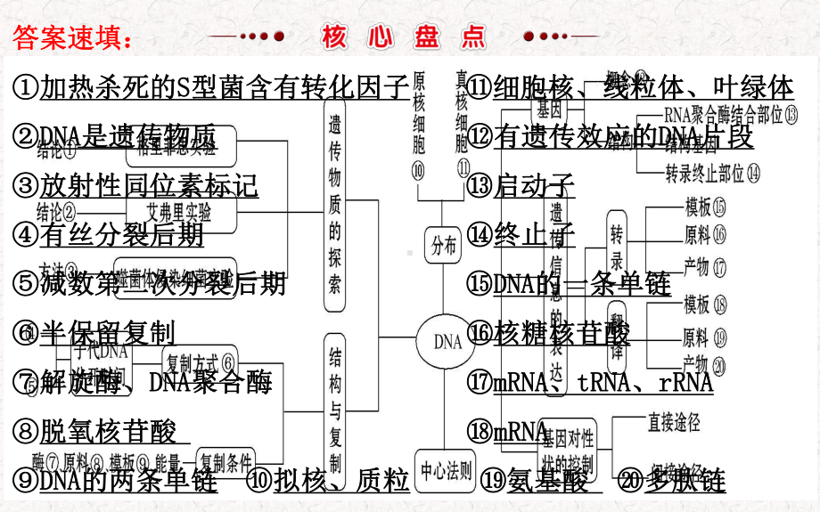 专题七遗传的分子基础.pptx_第3页