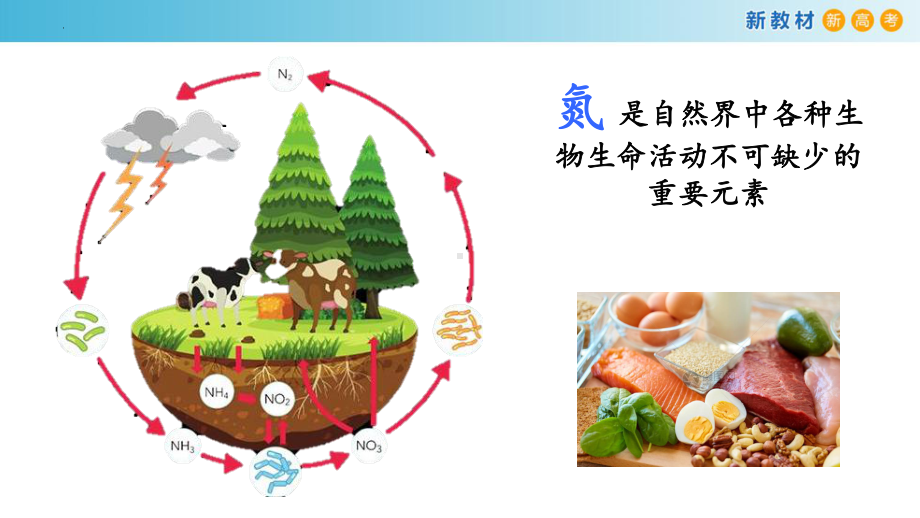 化学人教版高中必修二（2019年新编）-5-2-2 氮的氧化物溶于水的计算（精品课件）.pptx_第2页