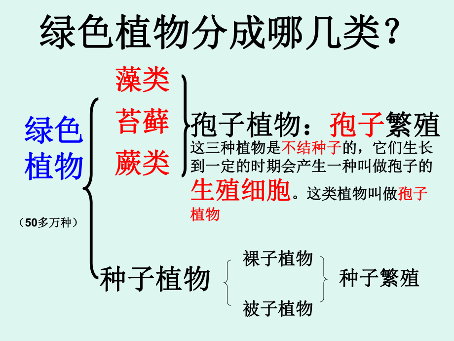 七（上）生物总复习.ppt_第2页