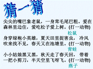 七年级语文下册 语文实践活动《保护野生动物的一次活动》课件 苏教版.ppt