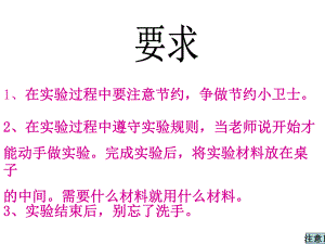 教科版小学科学六年级下册第二单元《米饭、淀粉和碘酒的变化》PPT课件.ppt