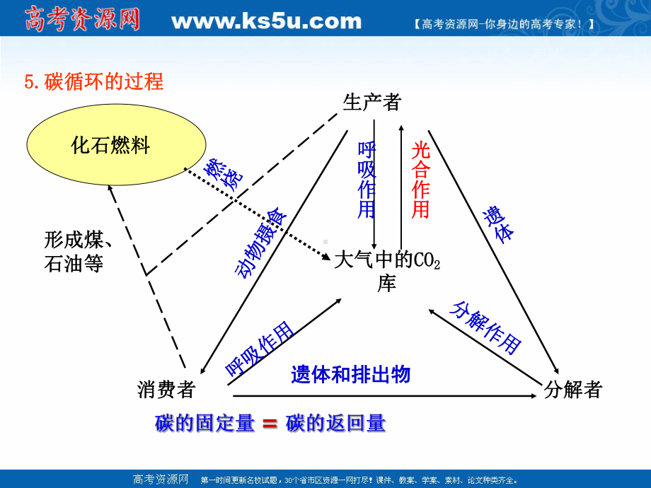 专题53-生态系统的物质循环（课件）-2016-2017学年高二生物同步精品课堂（基础版）（必修3）.ppt_第3页