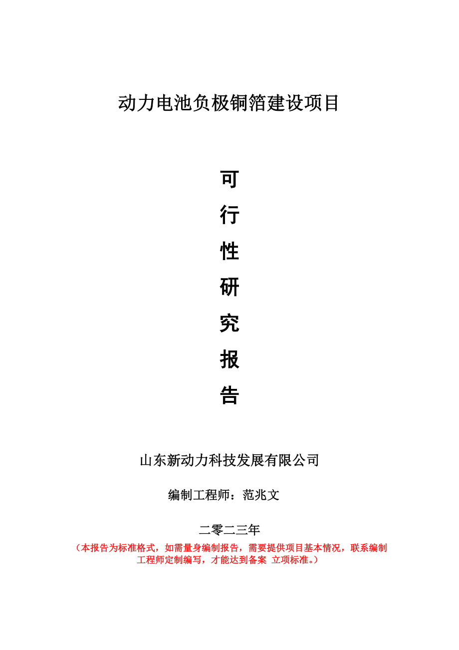 重点项目动力电池负极铜箔建设项目可行性研究报告申请立项备案可修改案例.wps_第1页