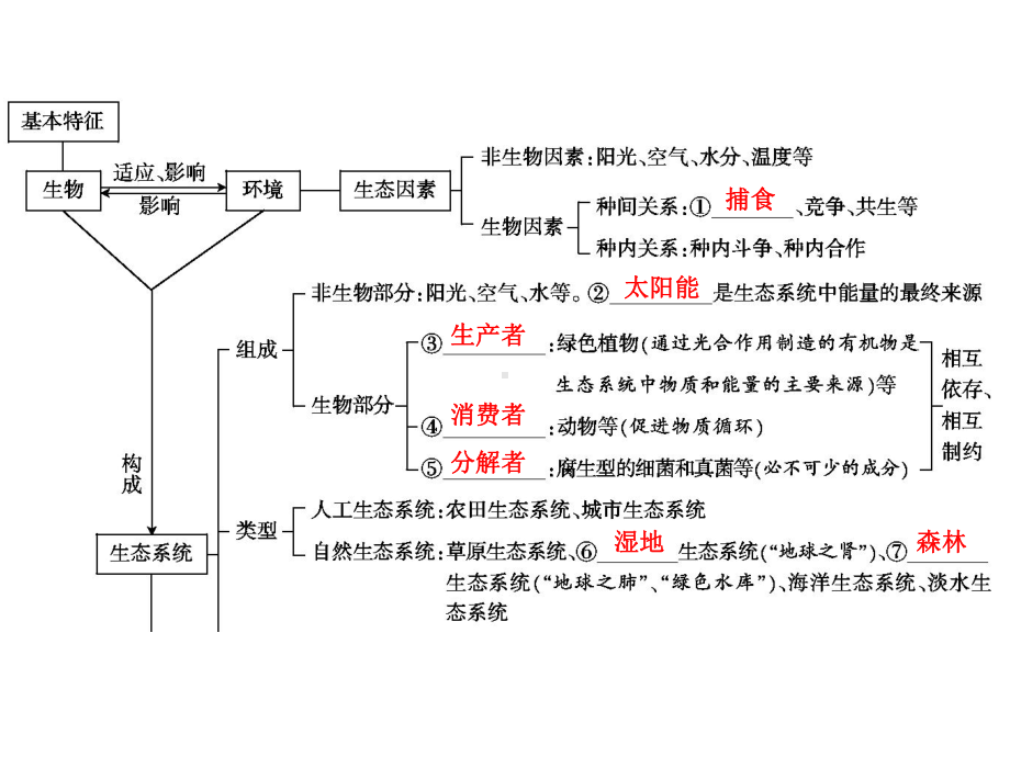 中考生物学专题知识整合·专题二生物与环境.ppt_第2页