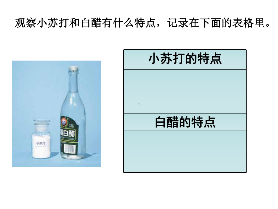 教科版小学科学六年级下册第二单元《小苏打和白醋的变化》PPT课件.ppt_第2页