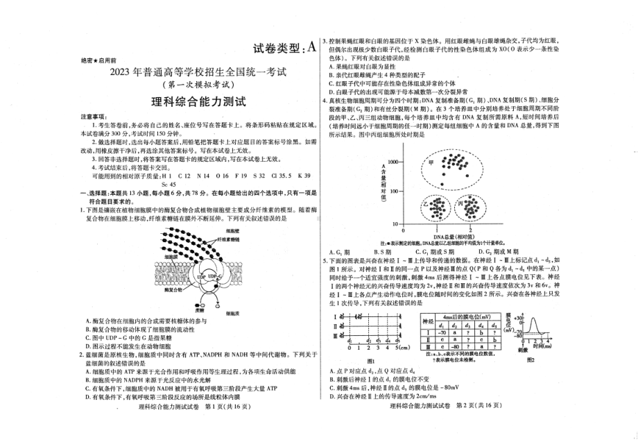 2023年普通高等学校招生全国统一考试第一次模拟考试理科综合能力测试试题.pdf_第1页