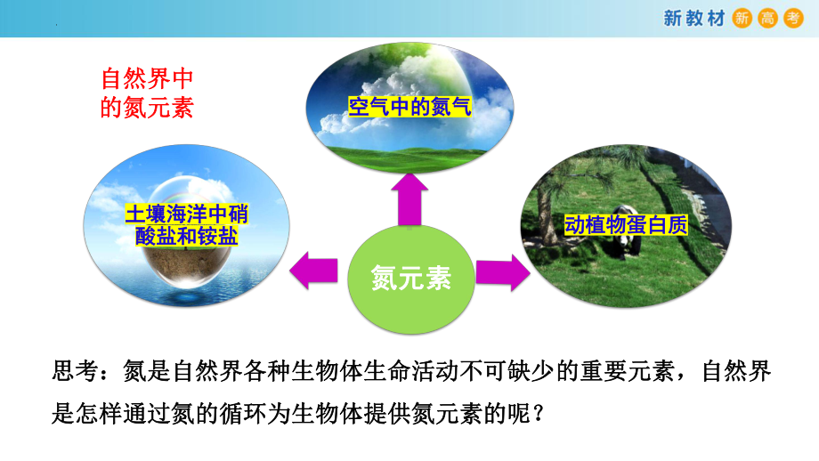 化学人教版高中必修二（2019年新编）-5-2-1 氮气 氮的氧化物（精品课件）.pptx_第3页