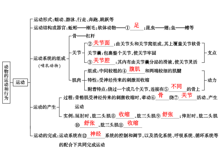 中考生物学专题知识整合·专题五动物的运动和行为.ppt_第2页