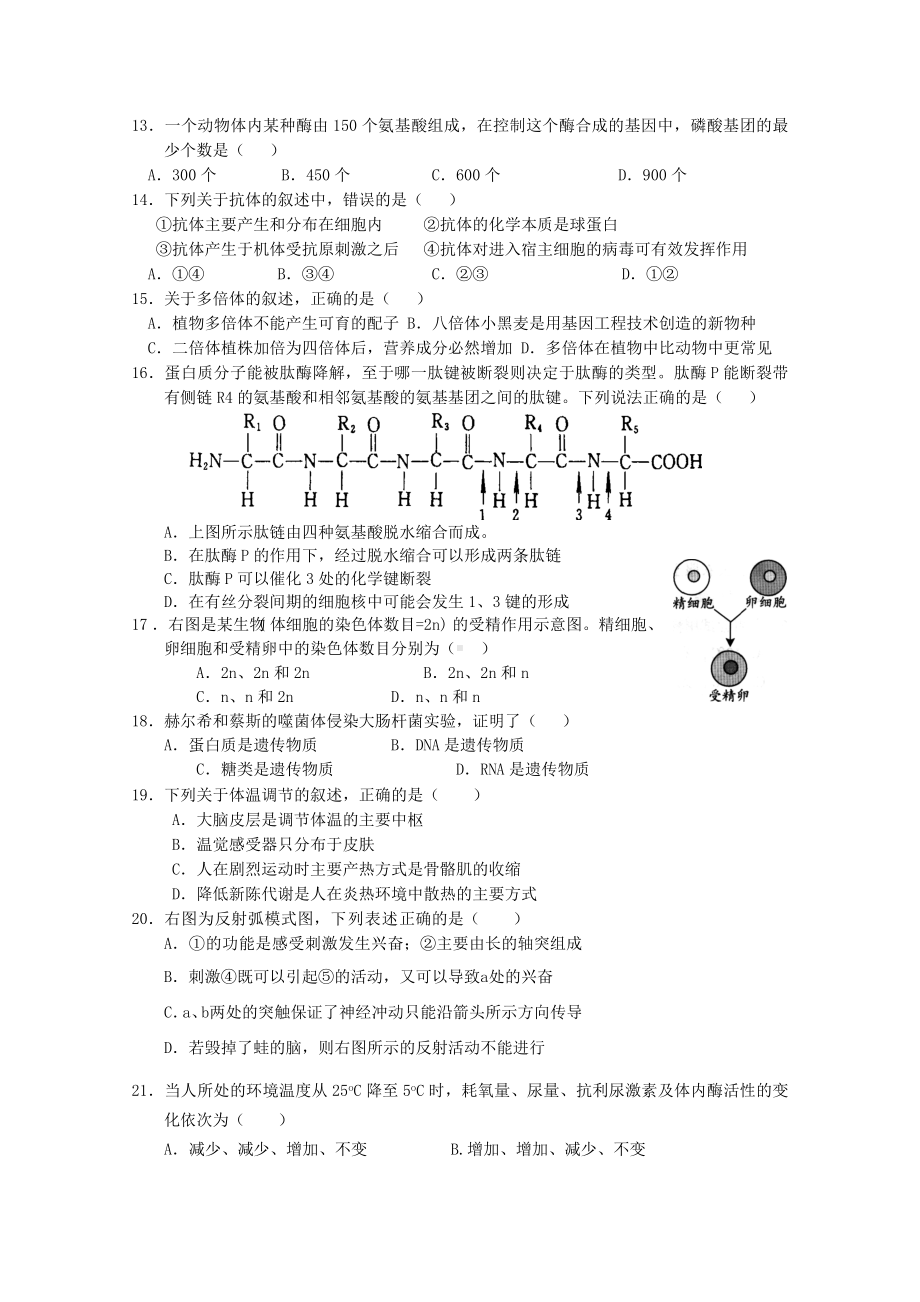 上海五校完中2011届高三生物上学期联考试卷（生命科学）沪科版.doc_第3页