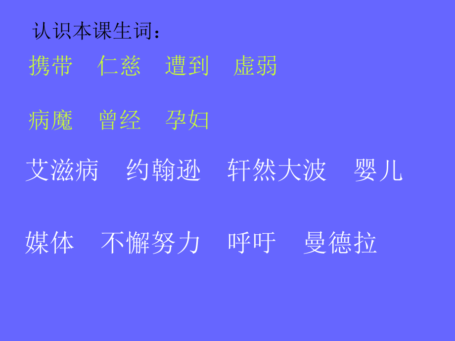 《艾滋病小斗士》课件1.ppt_第2页