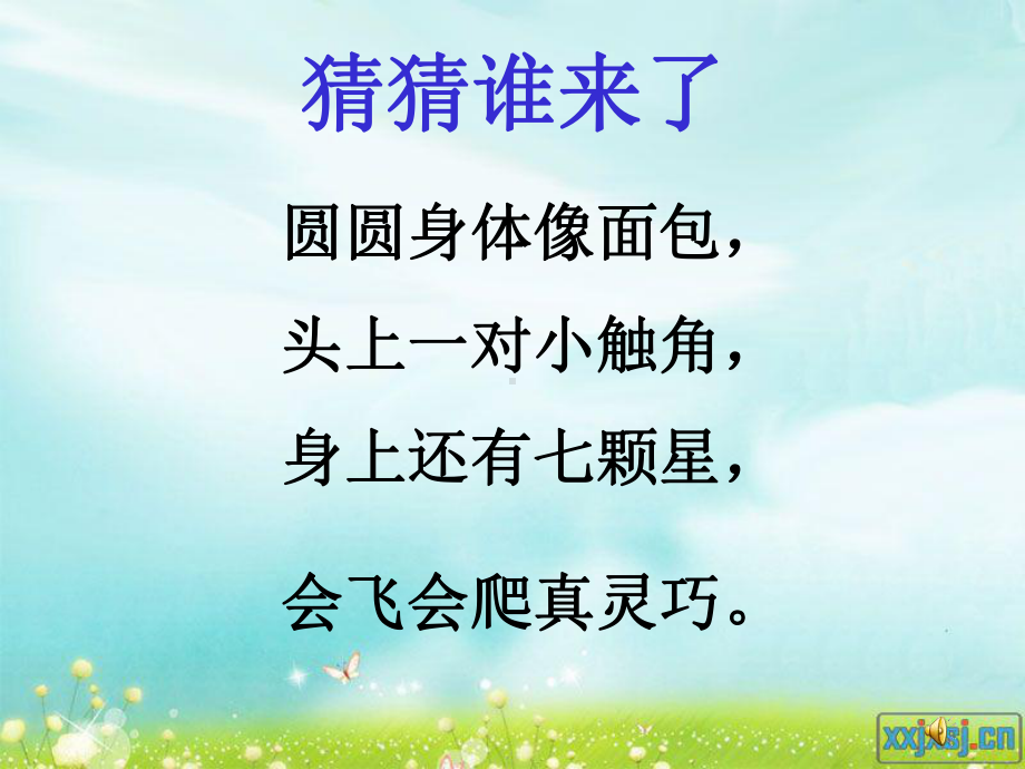 七星瓢虫吴丽卉.ppt_第1页