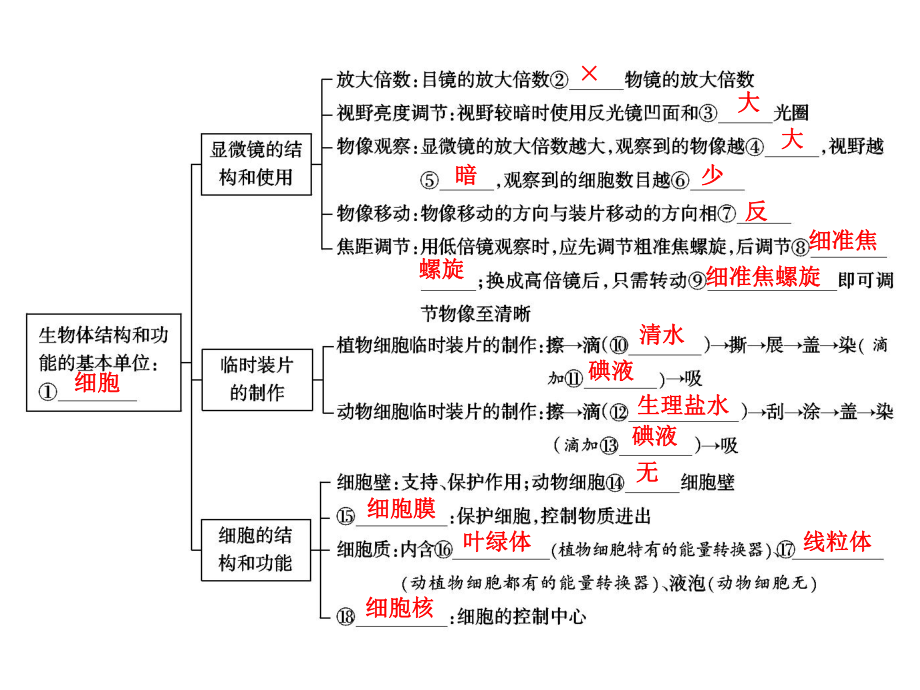 中考生物学专题知识整合·专题一生物体的结构层次.ppt_第2页