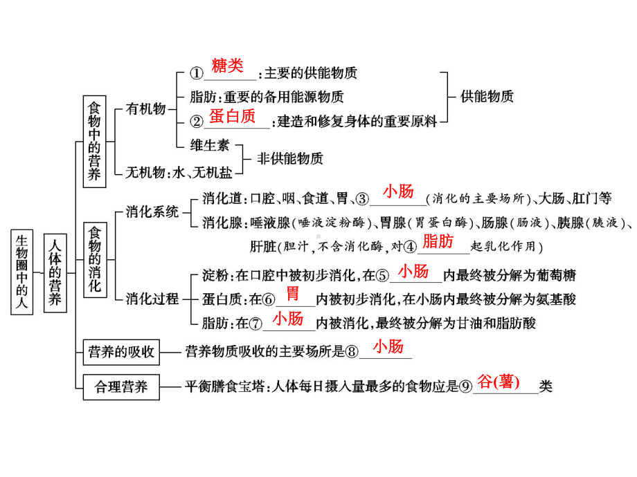 中考生物学专题知识整合·专题四生物圈中的人.ppt_第2页