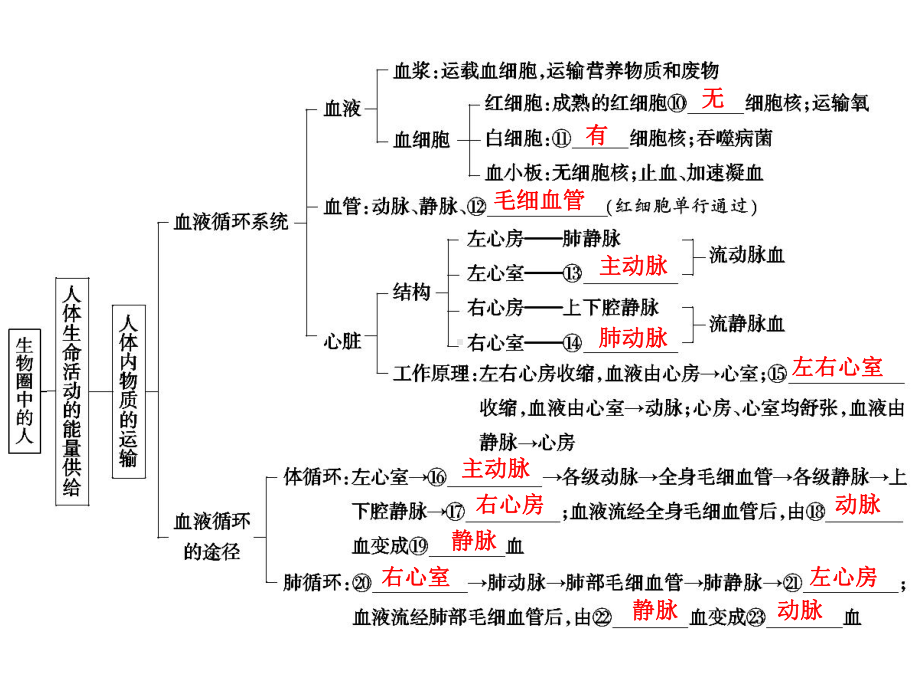 中考生物学专题知识整合·专题四生物圈中的人.ppt_第3页