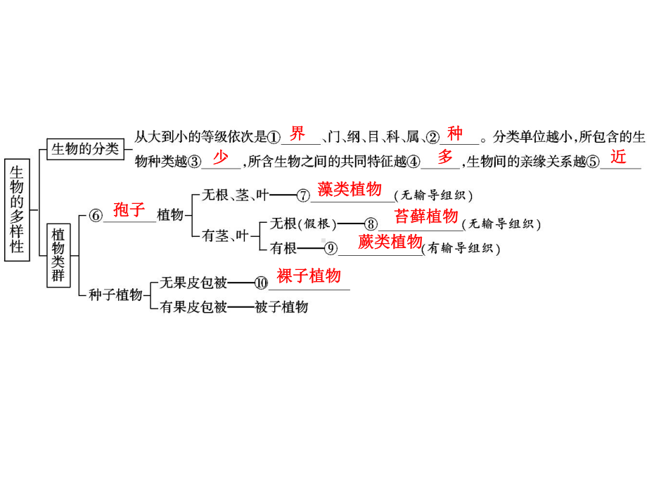 中考生物学专题知识整合·专题八生物的多样性.ppt_第2页