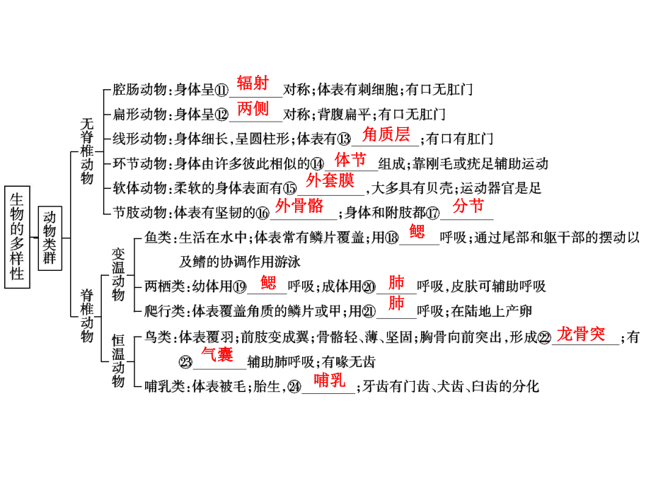 中考生物学专题知识整合·专题八生物的多样性.ppt_第3页