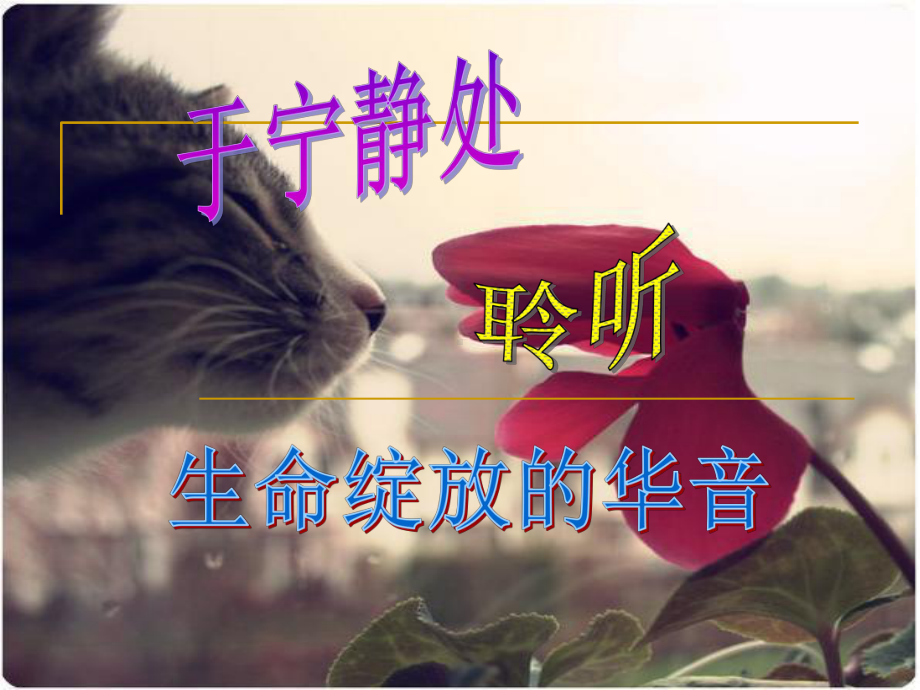 远离浮躁收获未来主题班会.ppt_第2页