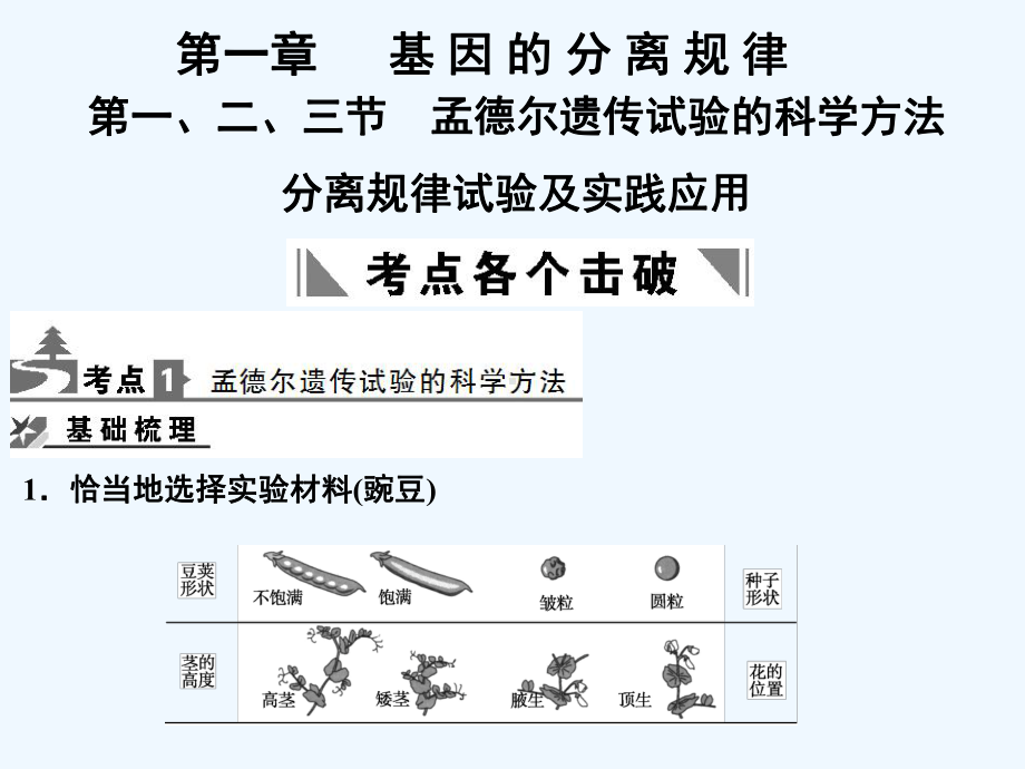 （创新设计）2011届高考生物一轮复习 2-1-1、2、3 孟德尔遗传试验的科学方法课件 中图版必修2.ppt_第3页