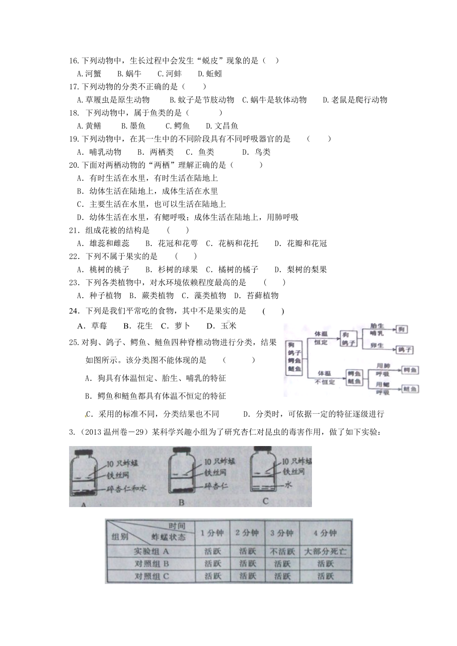 初中科学复习生物部分第一讲-动植物分类.doc_第3页