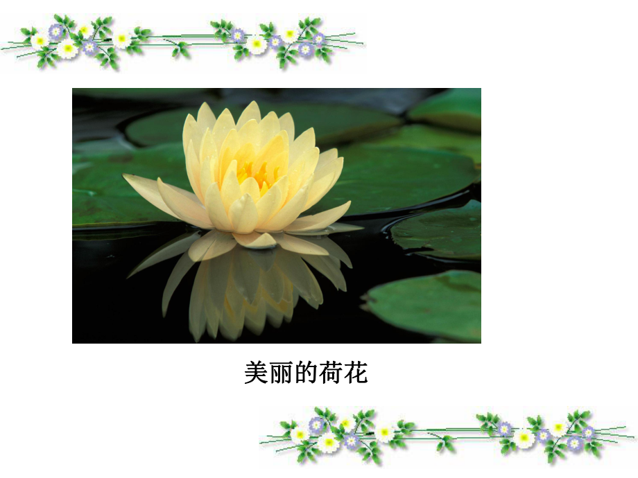 植物妈妈有办法PPT(修改).ppt_第3页