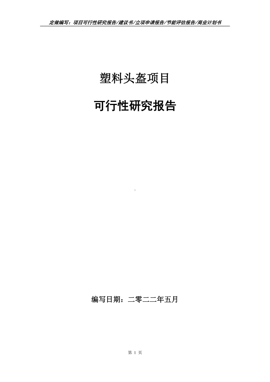 塑料头盔项目可行性报告（写作模板）.doc_第1页