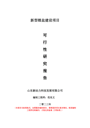 重点项目新型锂盐建设项目可行性研究报告申请立项备案可修改案例.wps