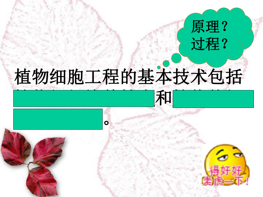 植物细胞工程的实际应用公开课.ppt_第1页