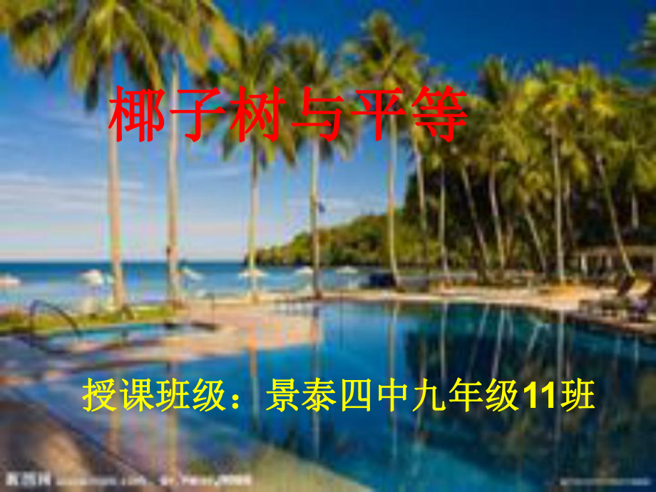 椰子树与平等课件.ppt_第1页