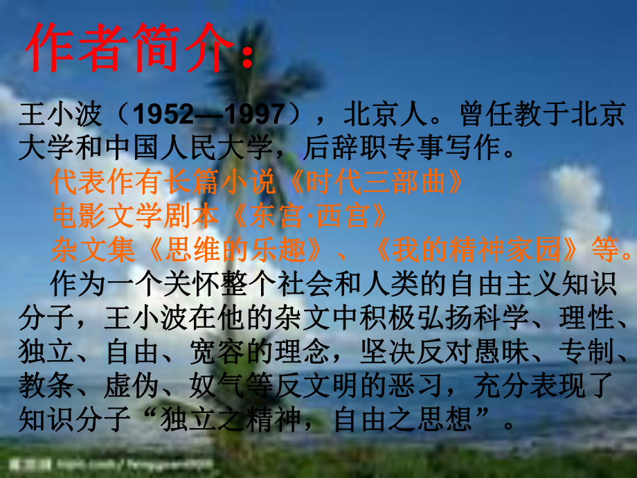 椰子树与平等课件.ppt_第2页