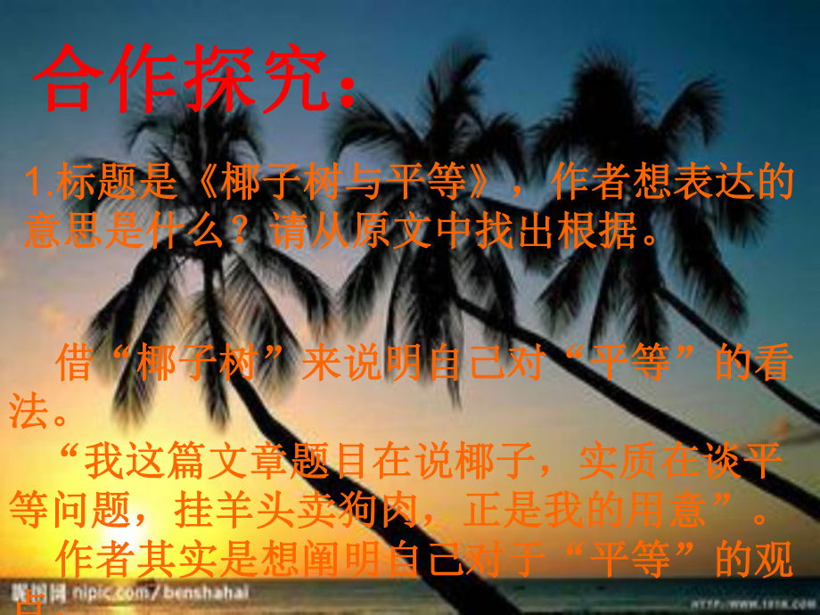 椰子树与平等课件.ppt_第3页