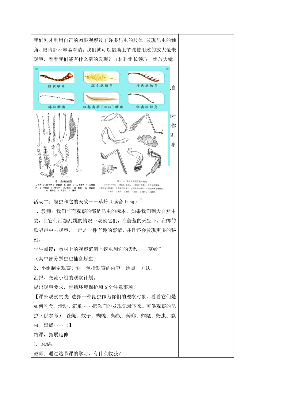 六年级科学下册 放大镜下的昆虫世界教案 教科版.doc_第3页