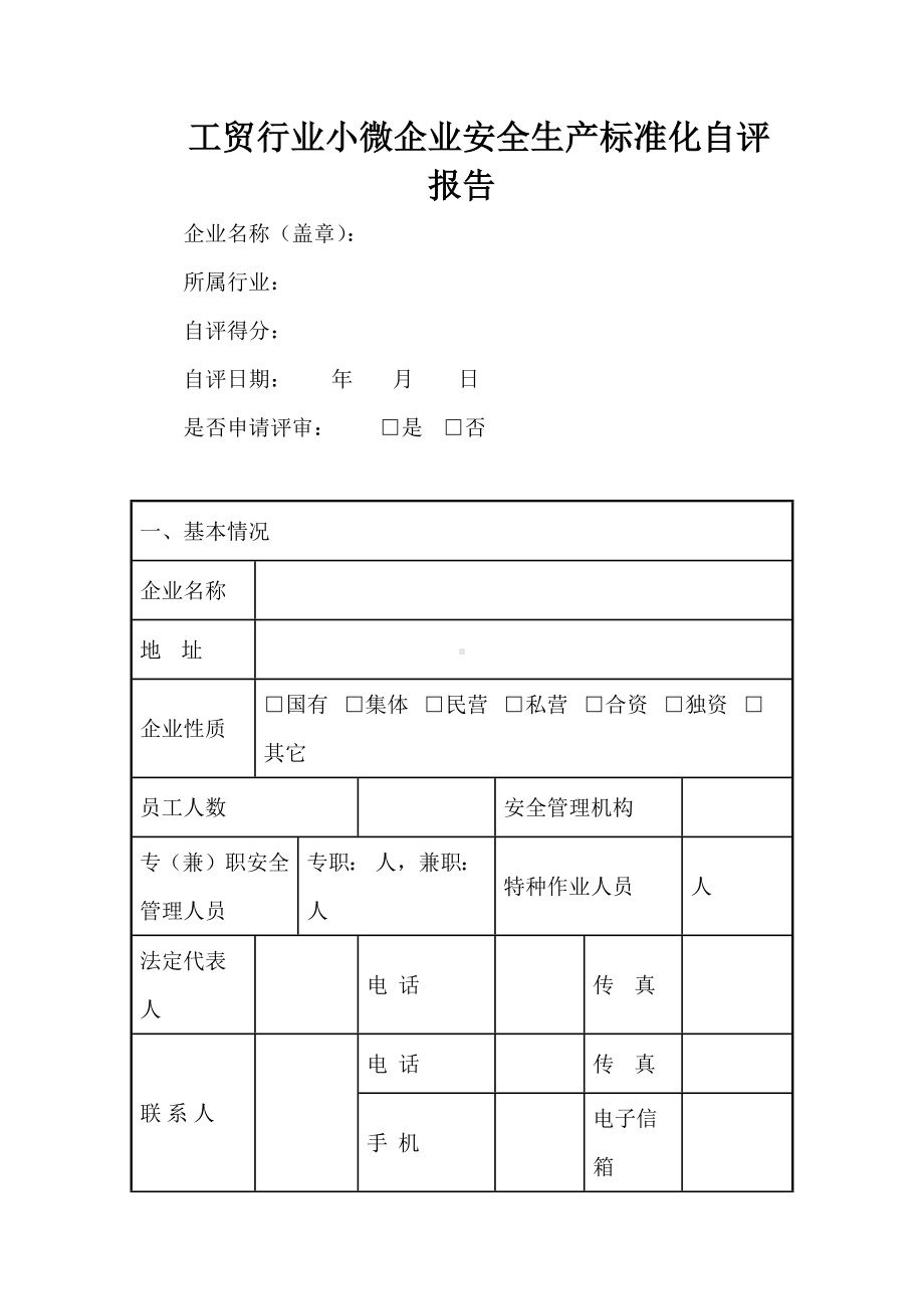 工贸行业小微企业安全生产标准化自评报告.docx_第1页