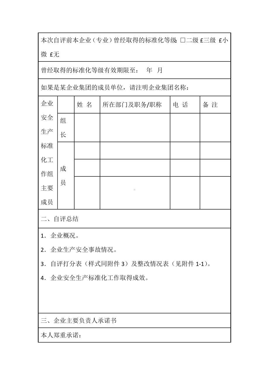 工贸行业小微企业安全生产标准化自评报告.docx_第2页