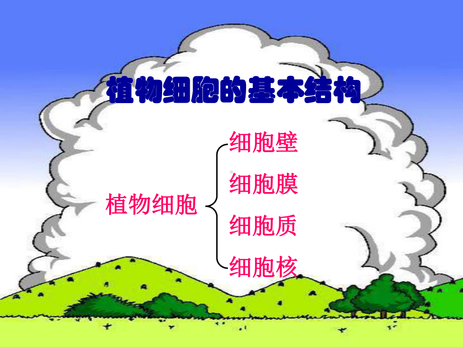 植物细胞的结构和功能.ppt_第3页