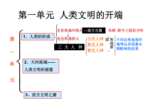 历史：第一单元人类文明的开端复习课件（人教新课标九年级上）.ppt