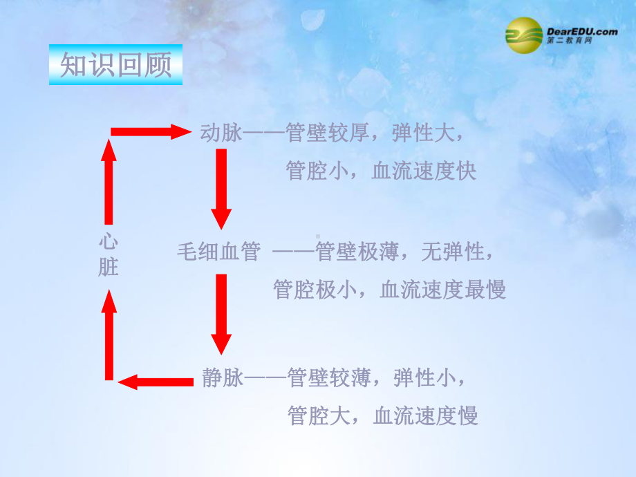 《43输送血液的泵-心脏》课件新人教版.ppt_第1页