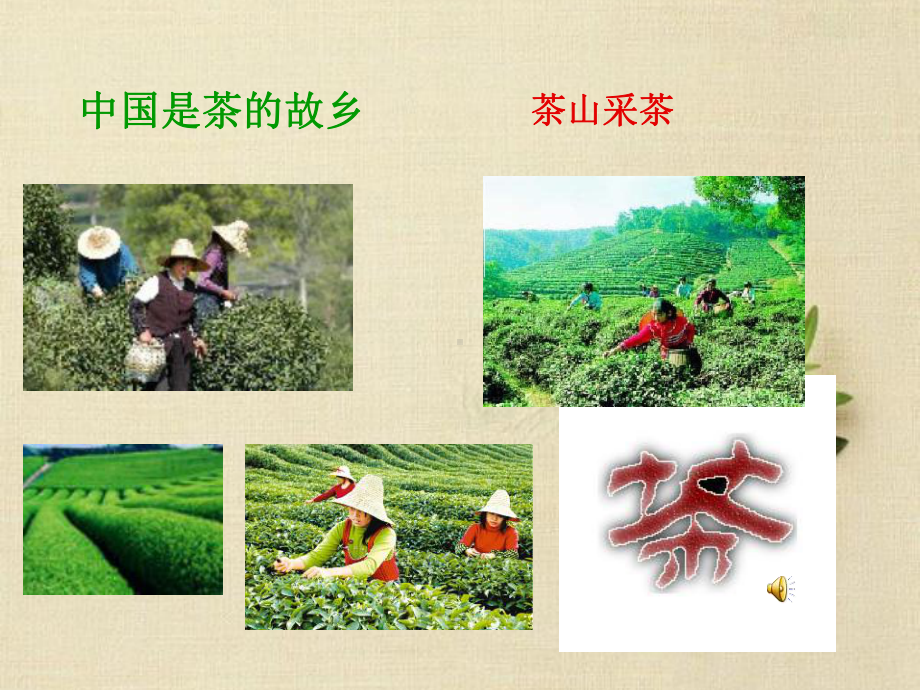 我国的茶文化.ppt_第2页