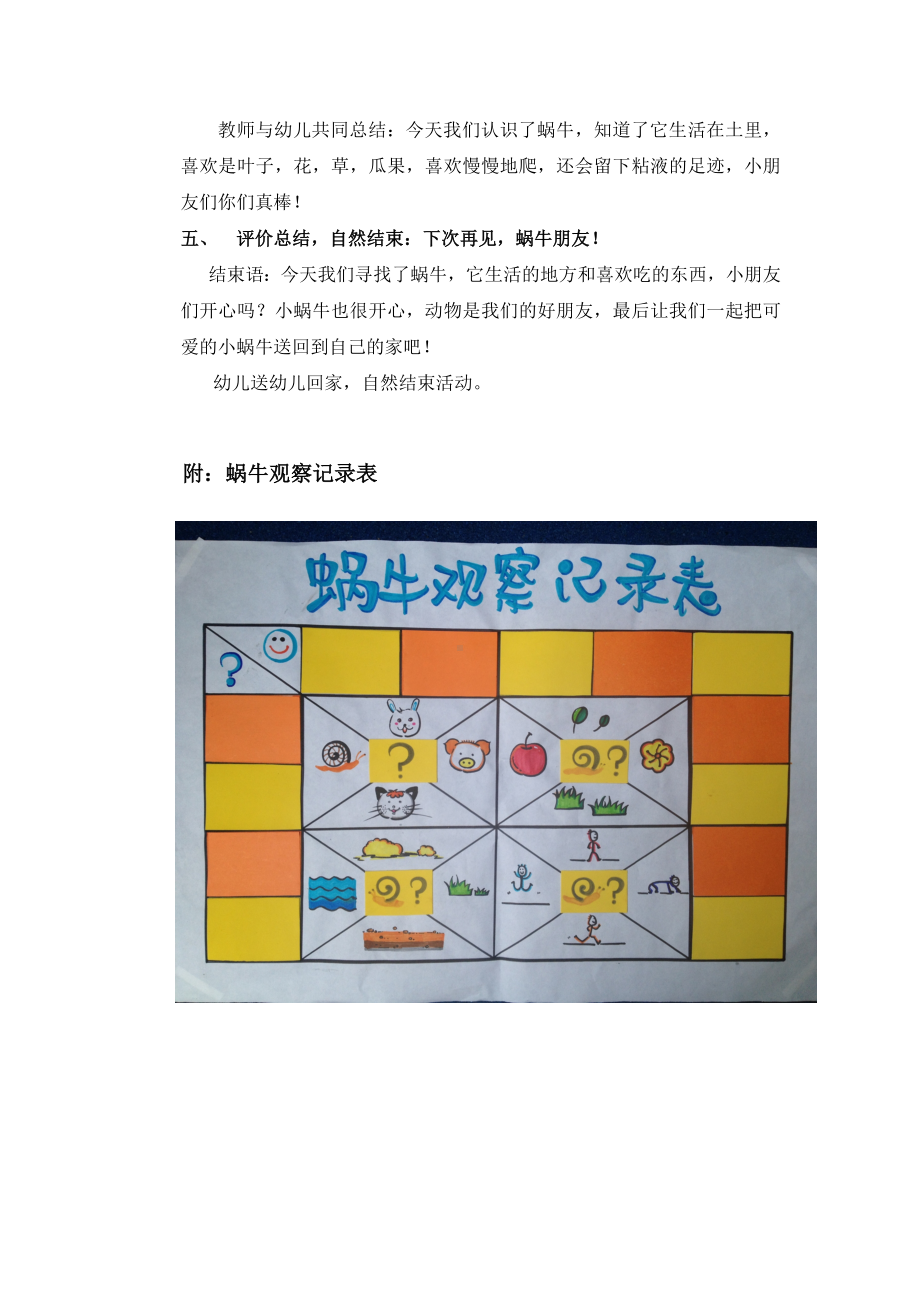 中班科学教案《可爱的小蜗牛》.doc_第3页