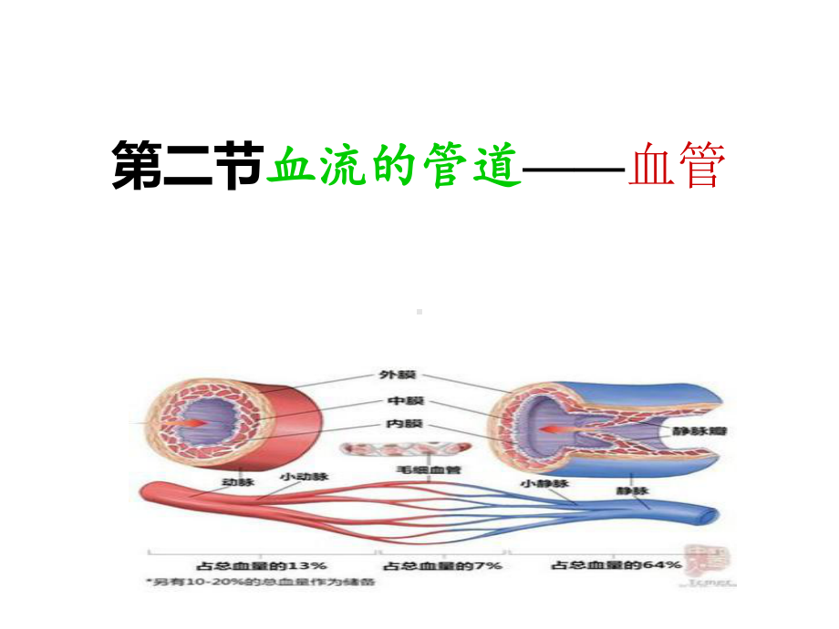 第二节血流的管道.ppt_第1页