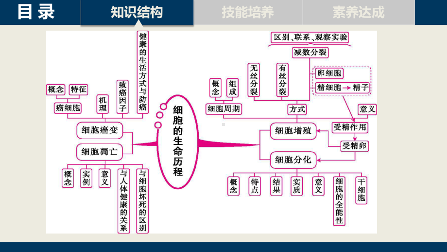 第四单元单元总结.ppt_第2页