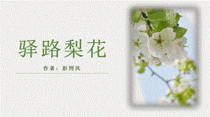 第15课《驿路梨花》ppt课件（共14张ppt） -（部）统编版七年级下册《语文》.pptx