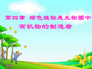 第四章-绿色植物是生物圈中有机物的制造者6(1).ppt