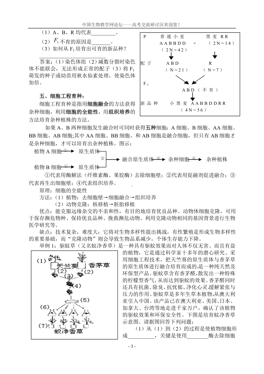 高考复习专题-生物育种方法总结.doc_第3页