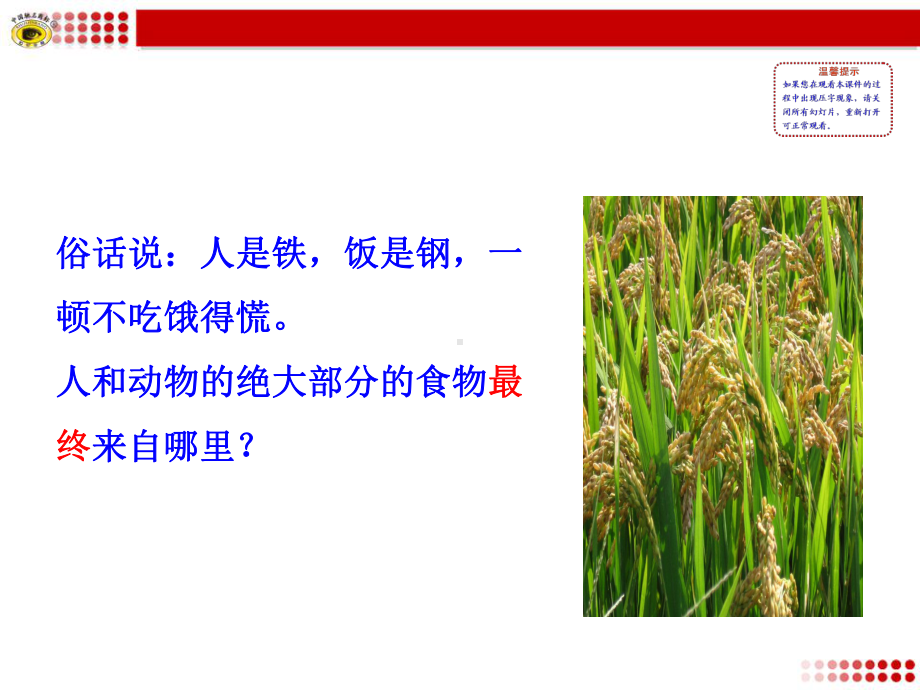 第四章绿色植物是生物圈中有机物的制造者.ppt_第2页