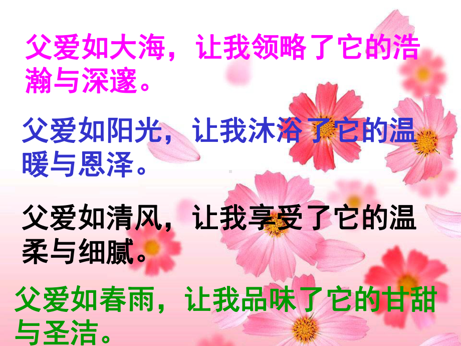 爸爸的花儿落了 (2).ppt_第2页